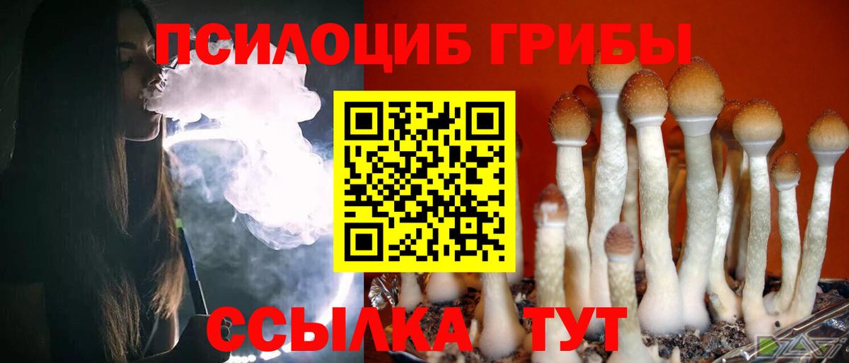 Каменск-Уральский  Галлюциногенные грибы ЛСД  Вход с VPN  Галлюциногенные грибы Psilocybe 